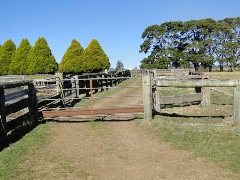 7986 “Kincora” Waterfall Way, Ebor NSW 2453