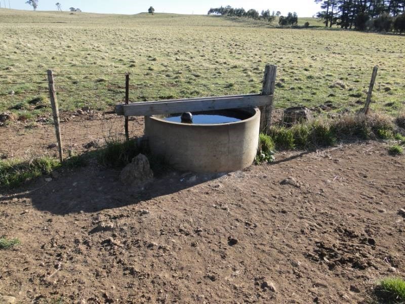 7986 “Kincora” Waterfall Way, Ebor NSW 2453