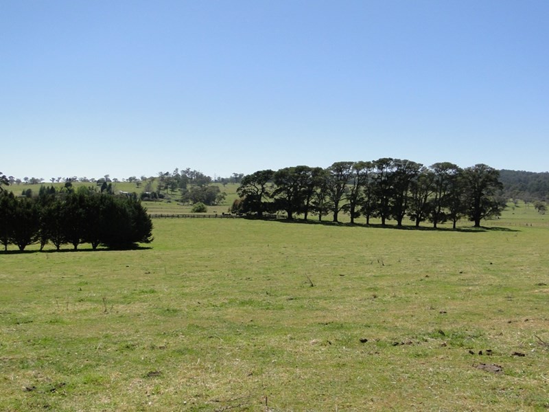 7986 “Kincora” Waterfall Way, Ebor NSW 2453