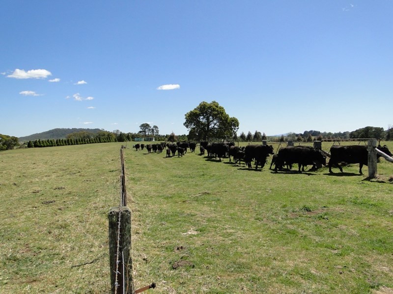 7986 “Kincora” Waterfall Way, Ebor NSW 2453