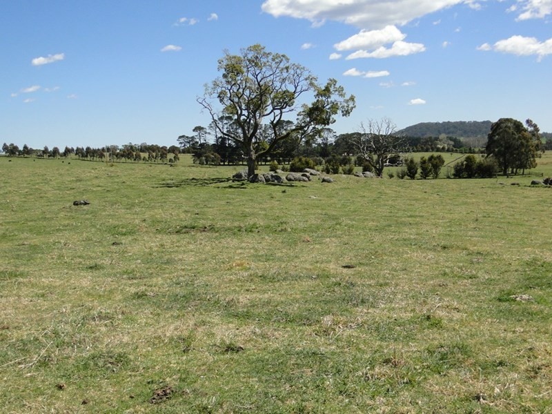 7986 “Kincora” Waterfall Way, Ebor NSW 2453