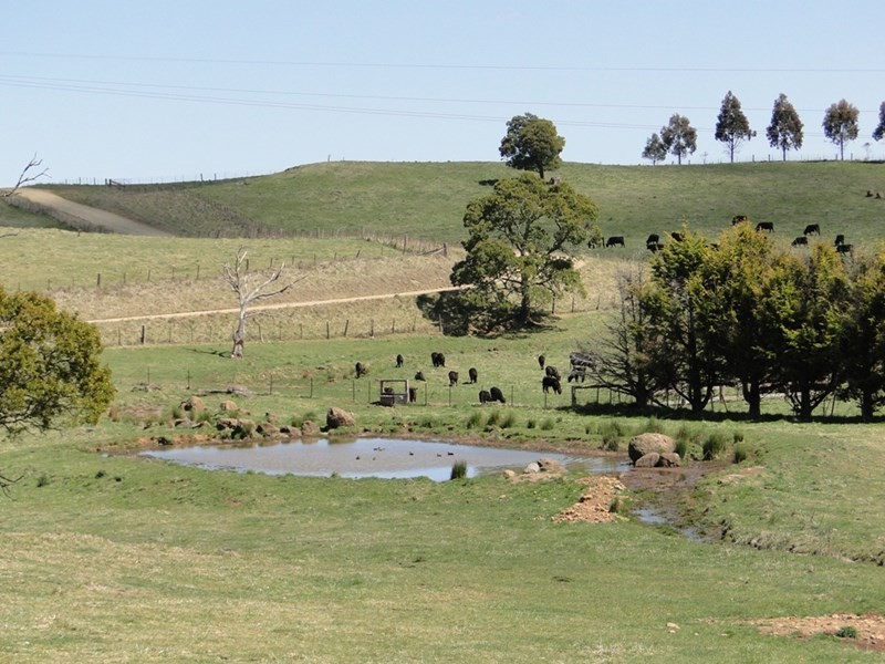 7986 “Kincora” Waterfall Way, Ebor NSW 2453