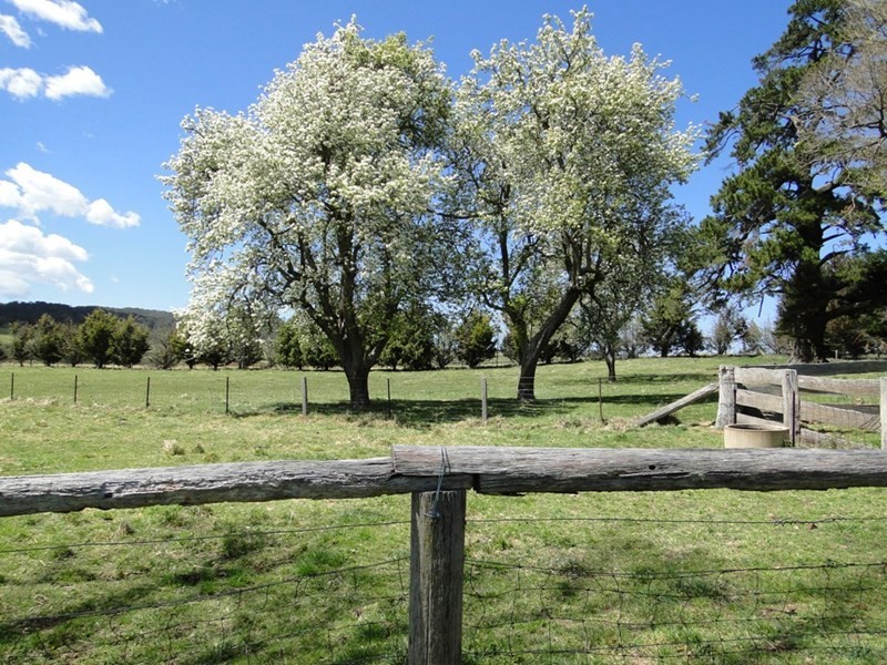 7986 “Kincora” Waterfall Way, Ebor NSW 2453