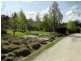 8601 Guyra Road, Guyra NSW 2365