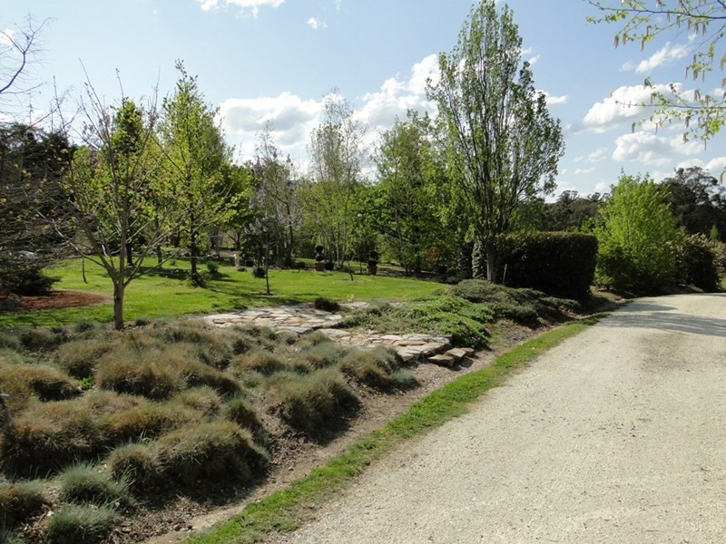 8601 Guyra Road, Guyra NSW 2365