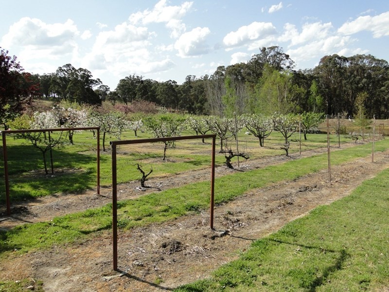 8601 Guyra Road, Guyra NSW 2365