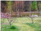 8601 Guyra Road, Guyra NSW 2365