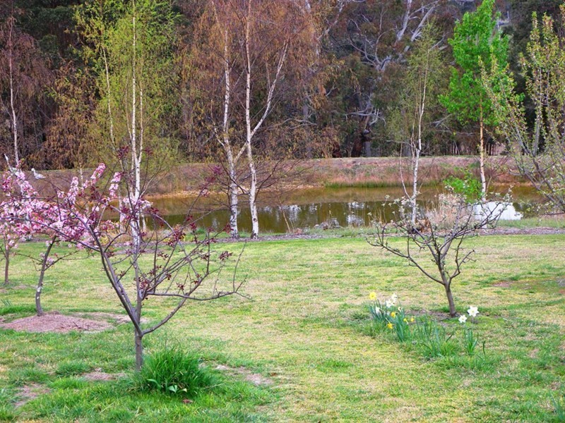 8601 Guyra Road, Guyra NSW 2365