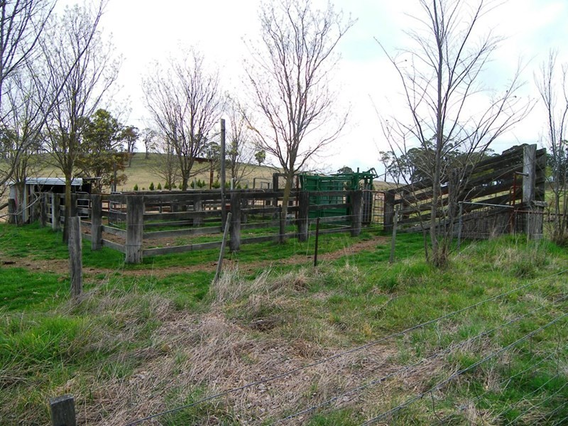 8601 Guyra Road, Guyra NSW 2365