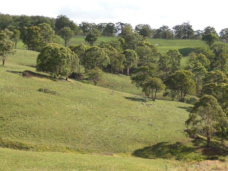 775 “Badam” Green Hills Road, Guyra NSW 2365