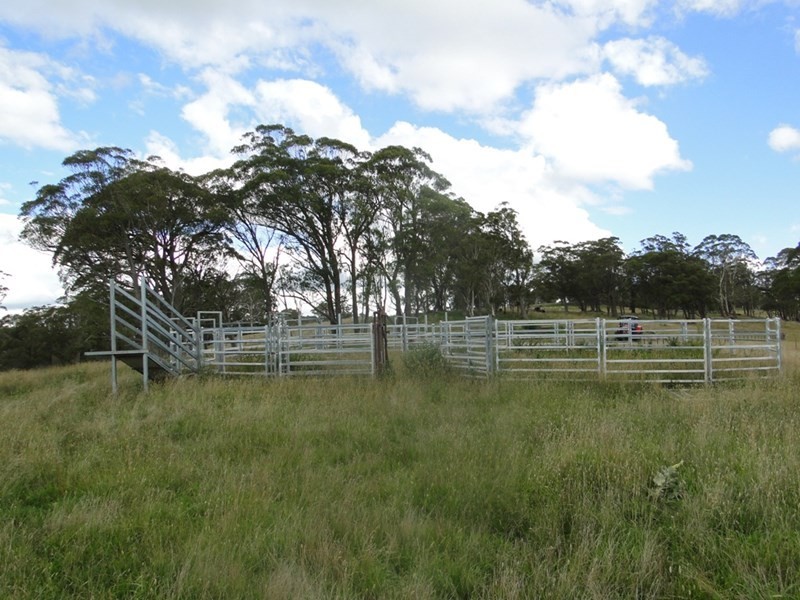 775 “Badam” Green Hills Road, Guyra NSW 2365