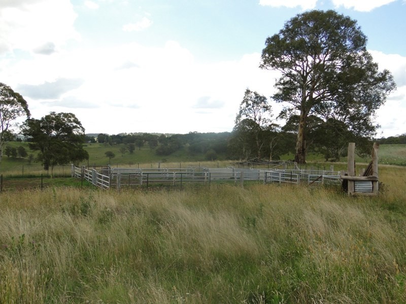 775 “Badam” Green Hills Road, Guyra NSW 2365