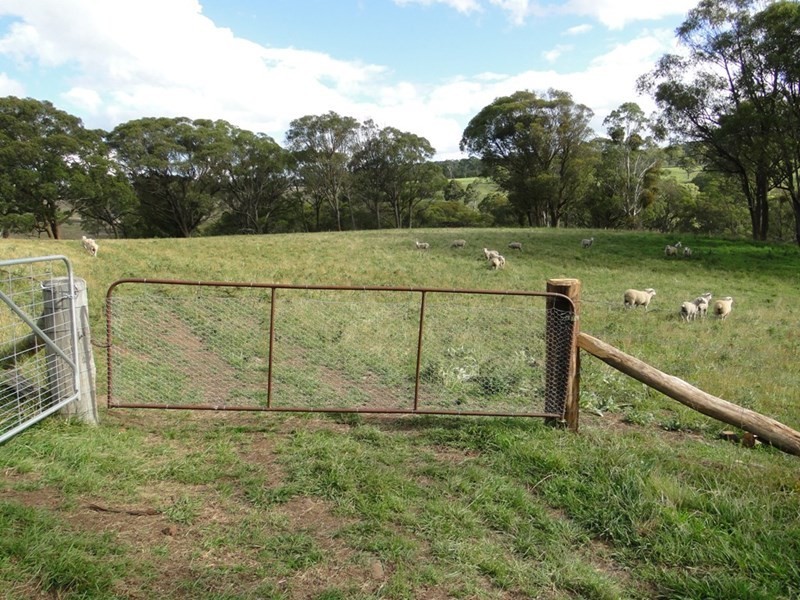 775 “Badam” Green Hills Road, Guyra NSW 2365