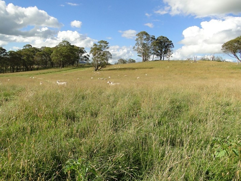 775 “Badam” Green Hills Road, Guyra NSW 2365