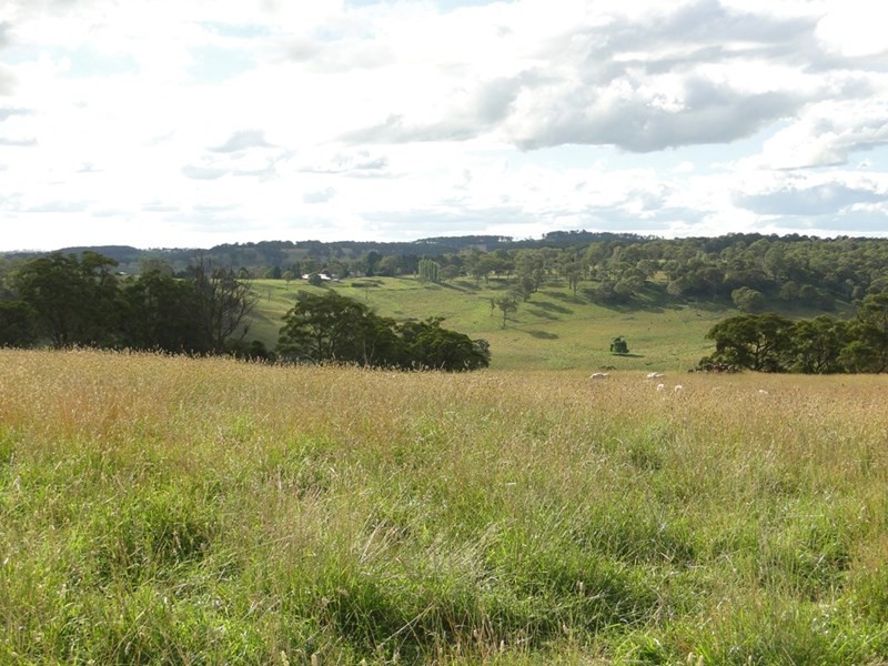 775 “Badam” Green Hills Road, Guyra NSW 2365