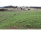 775 “Badam” Green Hills Road, Guyra NSW 2365