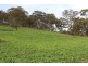 775 “Badam” Green Hills Road, Guyra NSW 2365