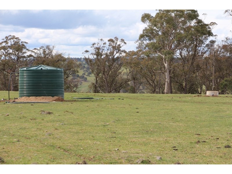 775 “Badam” Green Hills Road, Guyra NSW 2365