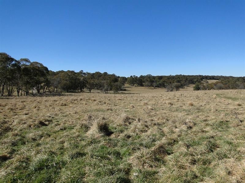 Guyra NSW 2365