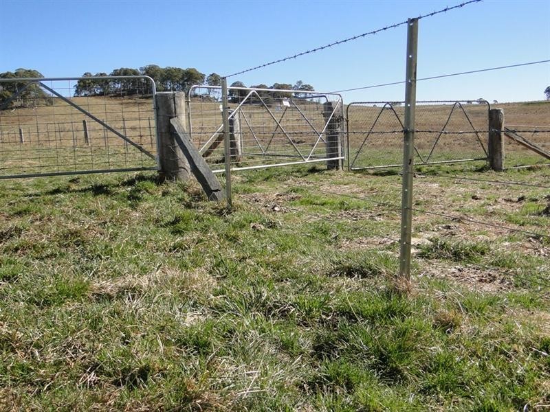 Guyra NSW 2365