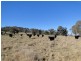 Guyra NSW 2365
