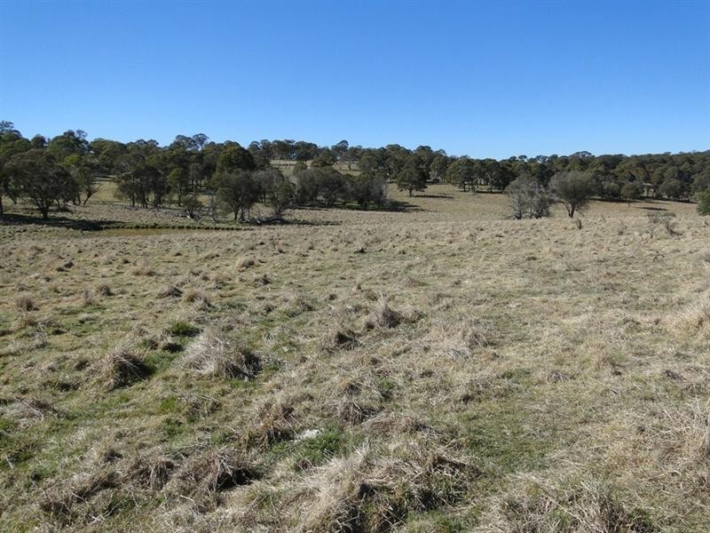 Guyra NSW 2365