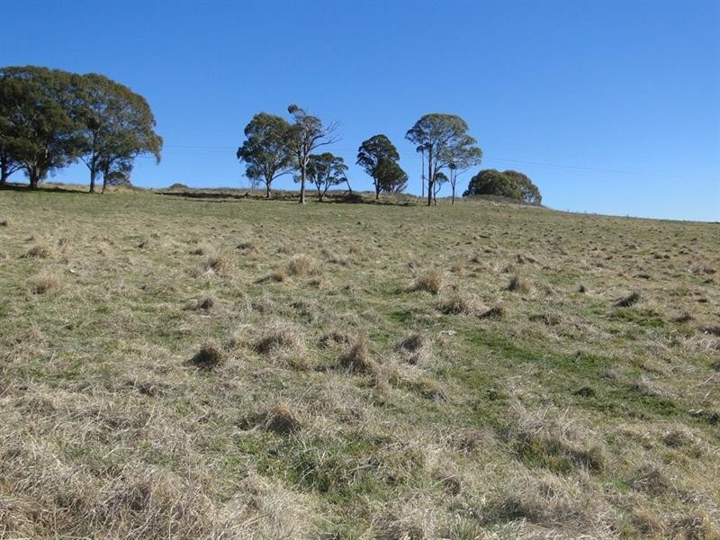 Guyra NSW 2365