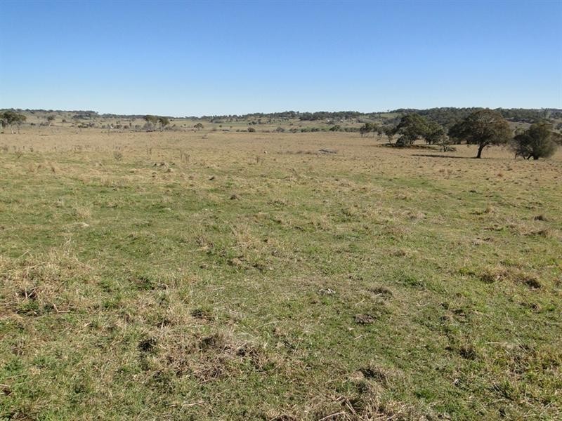 Guyra NSW 2365