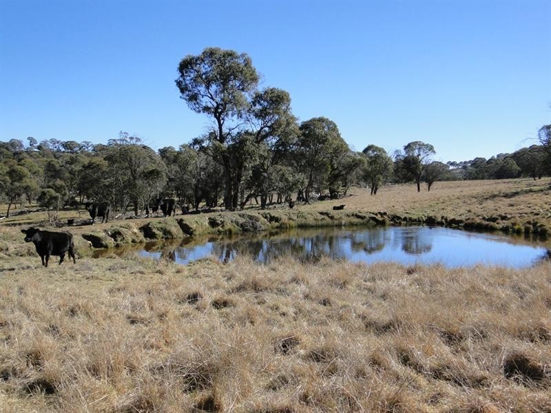 Guyra NSW 2365