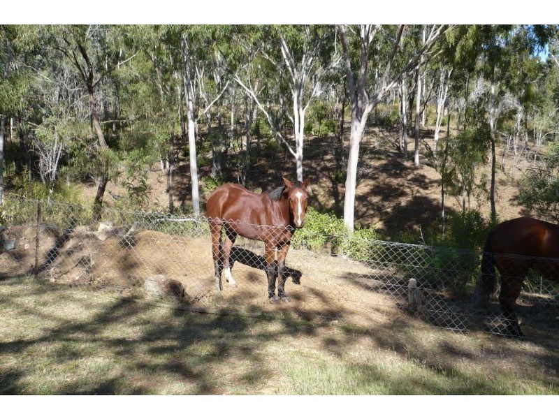 10 Mckenzie Lane, Limestone QLD 4714