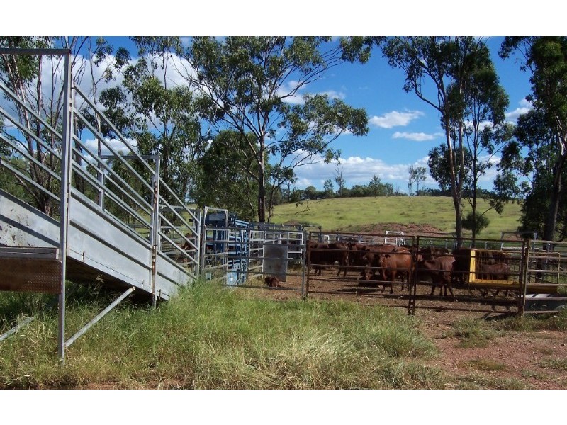 960 Pocket Creek Road, Wowan QLD 4702