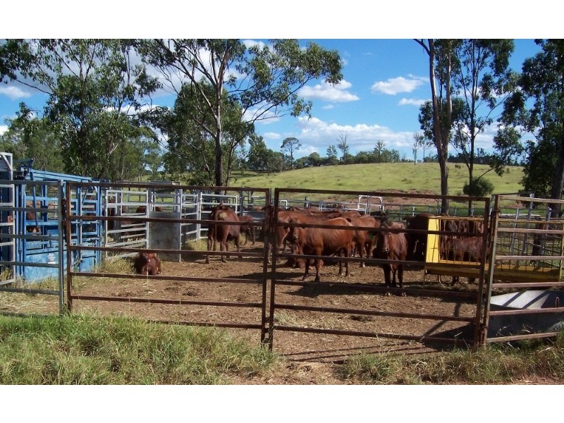 960 Pocket Creek Road, Wowan QLD 4702