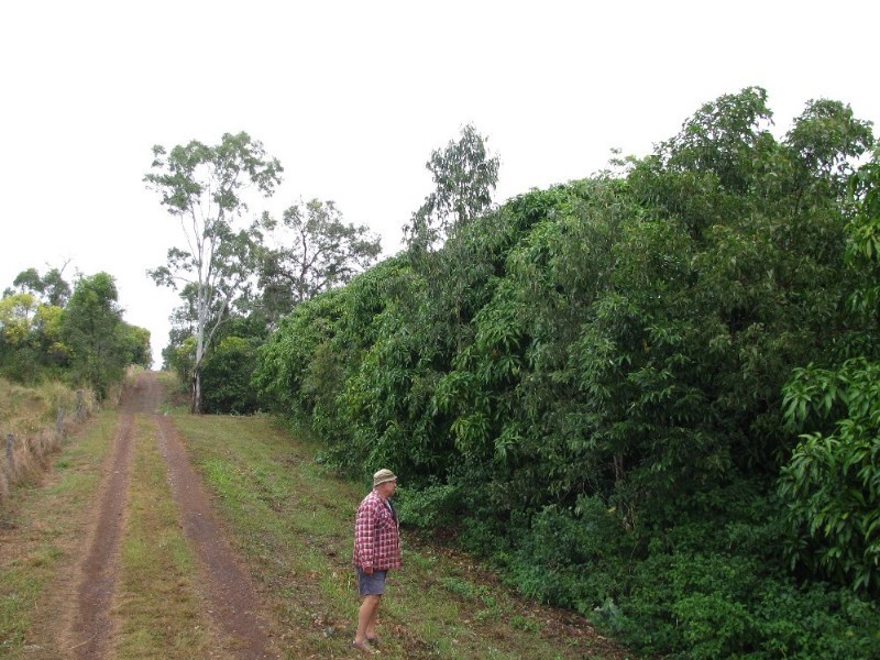 76 Athertons Road, Yeppoon QLD 4703