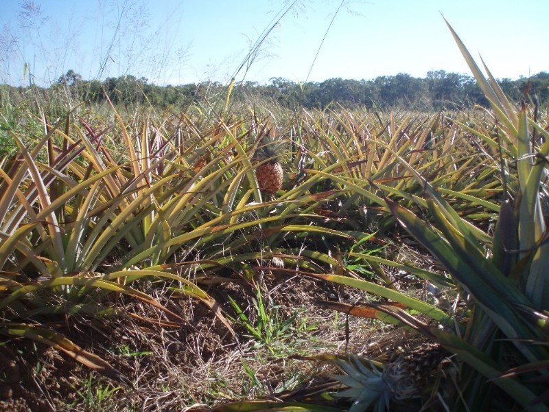 76 Athertons Road, Yeppoon QLD 4703