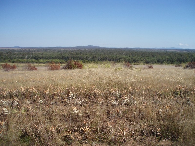 76 Athertons Road, Yeppoon QLD 4703