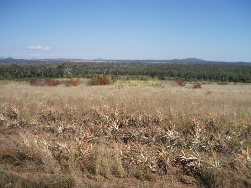 76 Athertons Road, Yeppoon QLD 4703