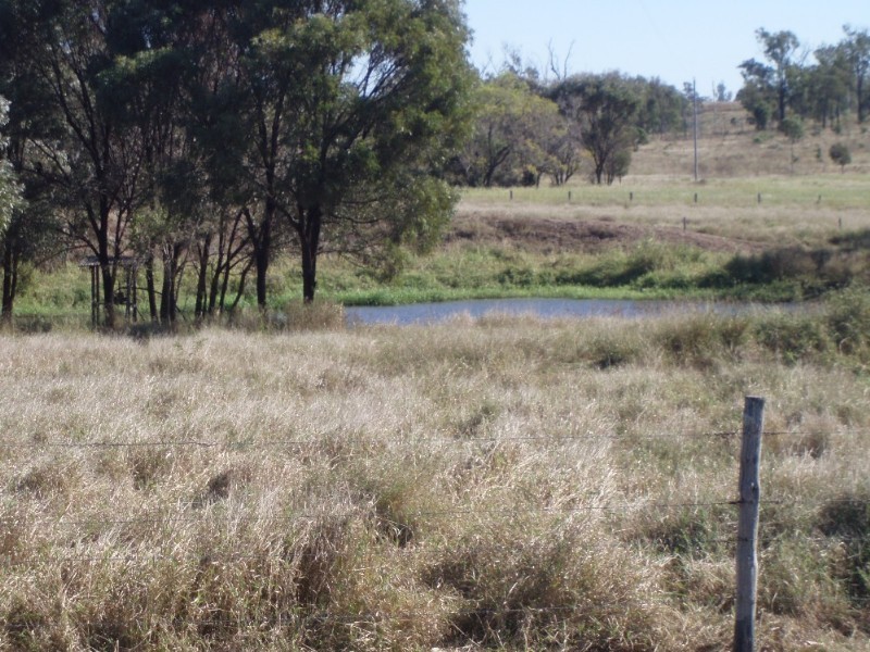 1008 Dalma/Ridgelands Road, Ridgelands QLD 4702