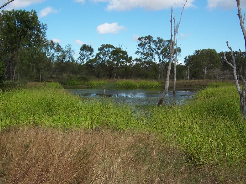 Rockhampton QLD 4700