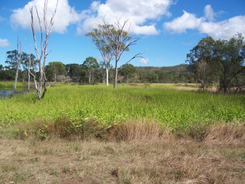 Rockhampton QLD 4700