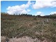 Rockhampton QLD 4700