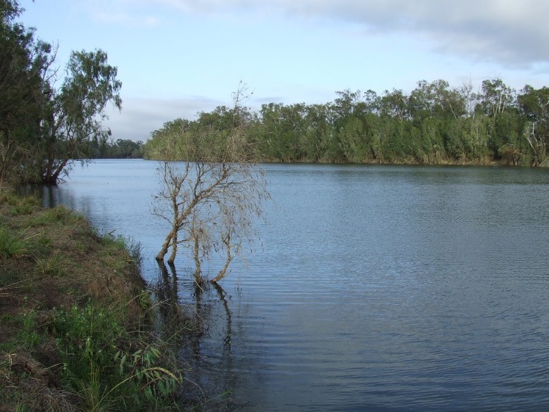 489 McKenzie Road, Alton Downs QLD 4702