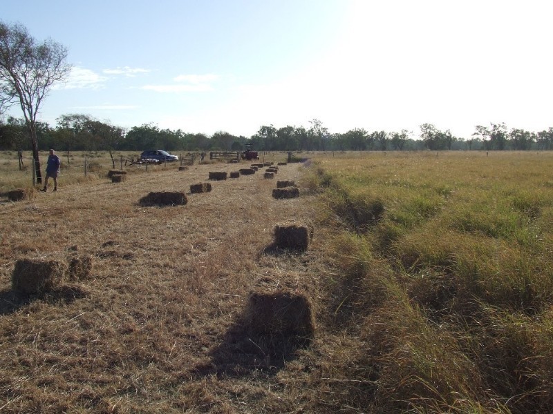 489 McKenzie Road, Alton Downs QLD 4702