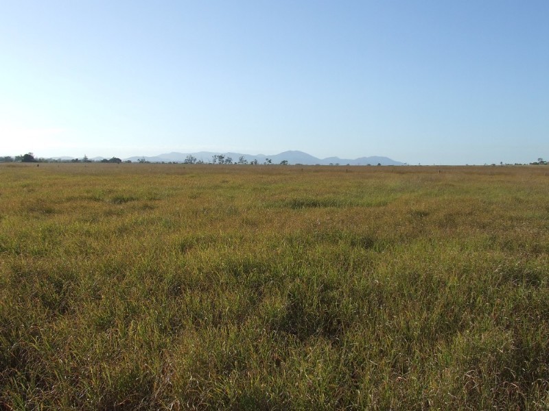 489 McKenzie Road, Alton Downs QLD 4702