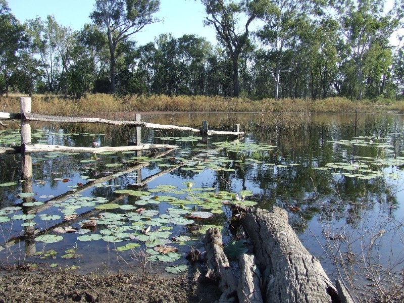 489 McKenzie Road, Alton Downs QLD 4702