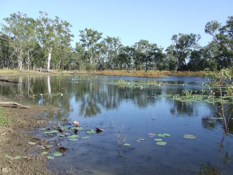 489 McKenzie Road, Alton Downs QLD 4702
