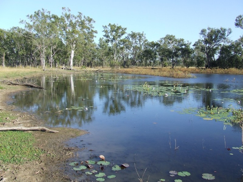 489 McKenzie Road, Alton Downs QLD 4702