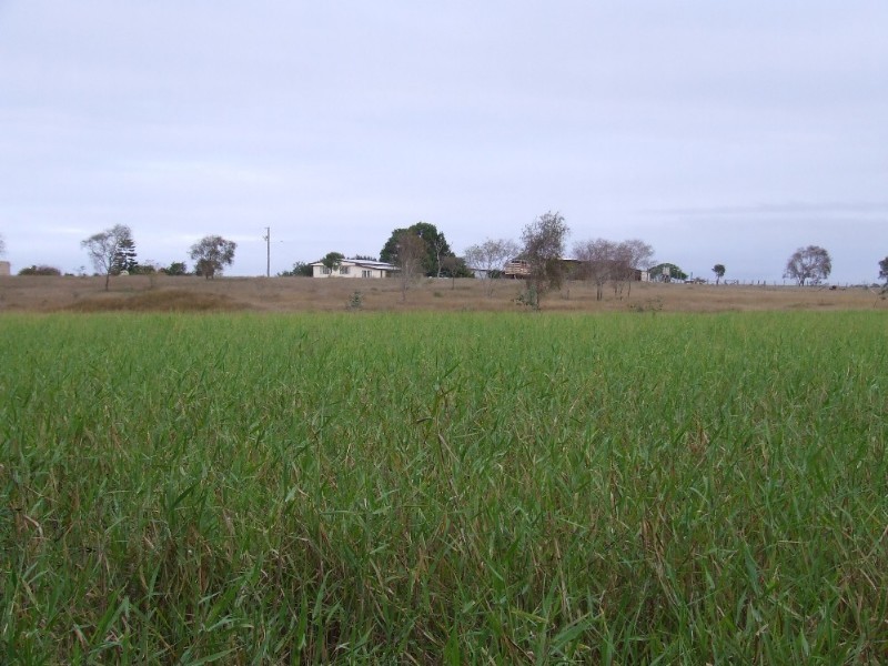 489 McKenzie Road, Alton Downs QLD 4702