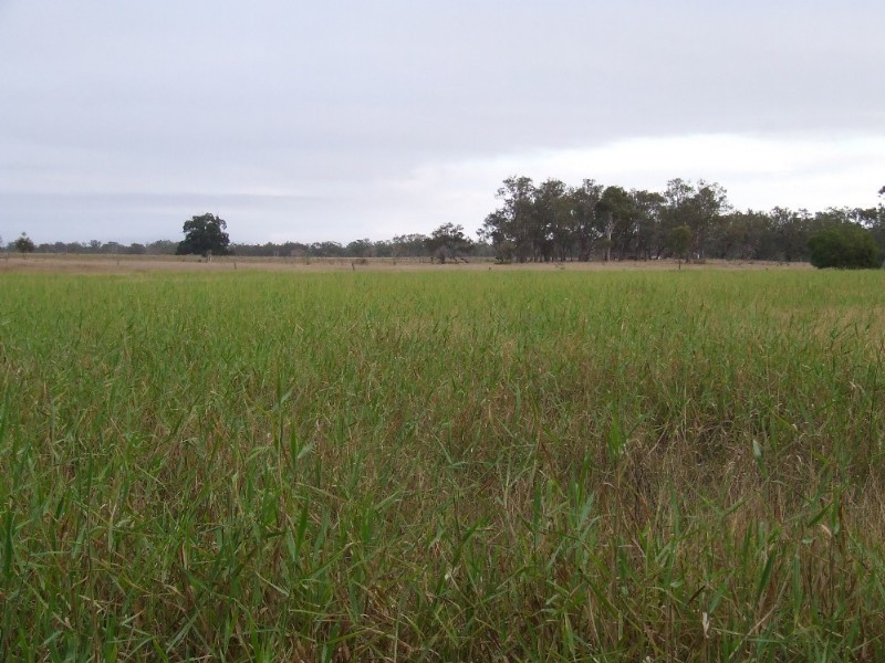 489 McKenzie Road, Alton Downs QLD 4702