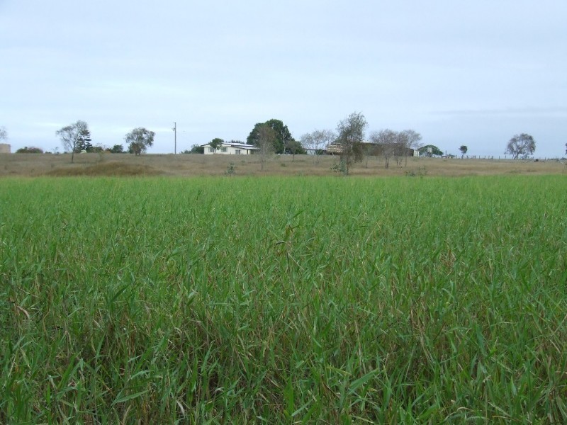 489 McKenzie Road, Alton Downs QLD 4702