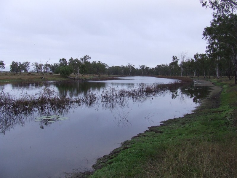 489 McKenzie Road, Alton Downs QLD 4702